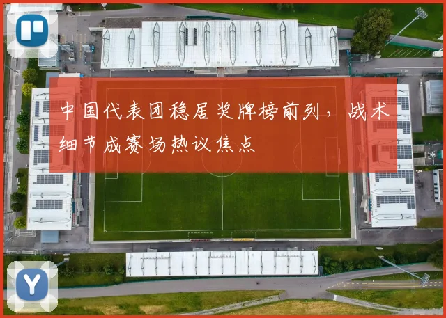 中国代表团稳居奖牌榜前列，战术细节成赛场热议焦点