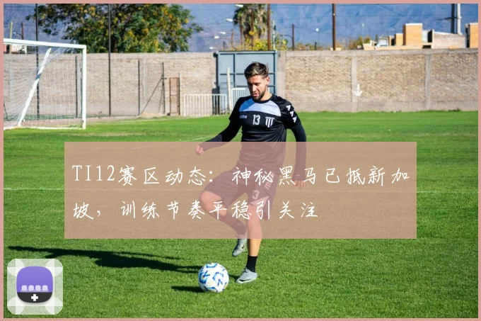 TI12赛区动态：神秘黑马已抵新加坡，训练节奏平稳引关注