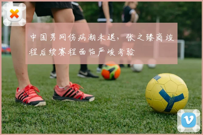 中国男网伤病潮未退，张之臻商竣程后续赛程面临严峻考验